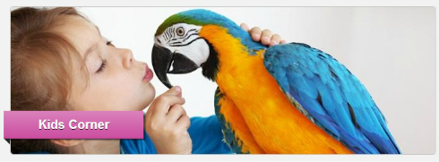 Krüger Leben Kids Corner