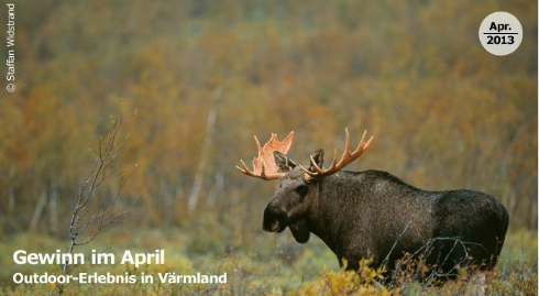 Marketing bei Ikea Family