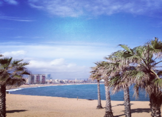 Beispiele für erfolgreiches Marketing mit User-generiertem Content