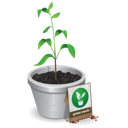 Seeding im Marketing