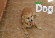 Facebook Update im echten Leben