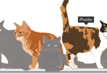 Was tun Katzen bei Nacht?