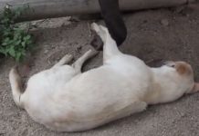 Es ist wieder Montag