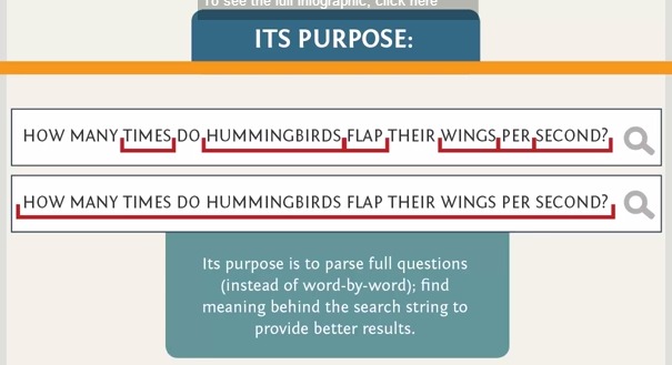 Google Hummingbird: neuer Algorithmus bei der Suche Google Hummingbird: neuer Algorithmus bei der Suche