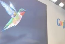 Google Hummingbird: neuer Algorithmus ausgerollt