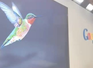 Google Hummingbird: neuer Algorithmus ausgerollt