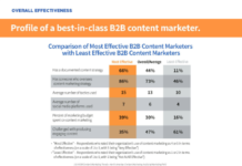 Welches Profil haben effektive Content Marketer im B2B-Bereich?