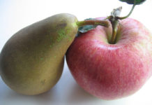 Content Marketing und Social Media – was ist der Unterschied?