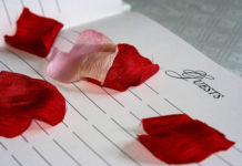 Gast-Beiträge im Blog: Spam oder kein Spam – das ist hier die Frage!