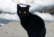 Sind Superlative immer super?