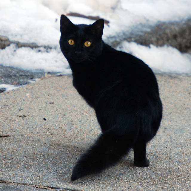 Sind-superlative-immer-super Sind-superlative-immer-super