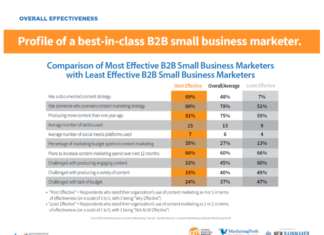 Best Practice Profile: Kleine B2B Unternehmen in den USA mit effektivem Content Marketing