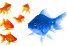 Content Marketing auch für kleine Unternehmen?