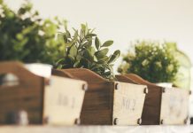 Vom Content zum Kunden: 7 Tipps für ein erfolgreiches Lead Nurturing