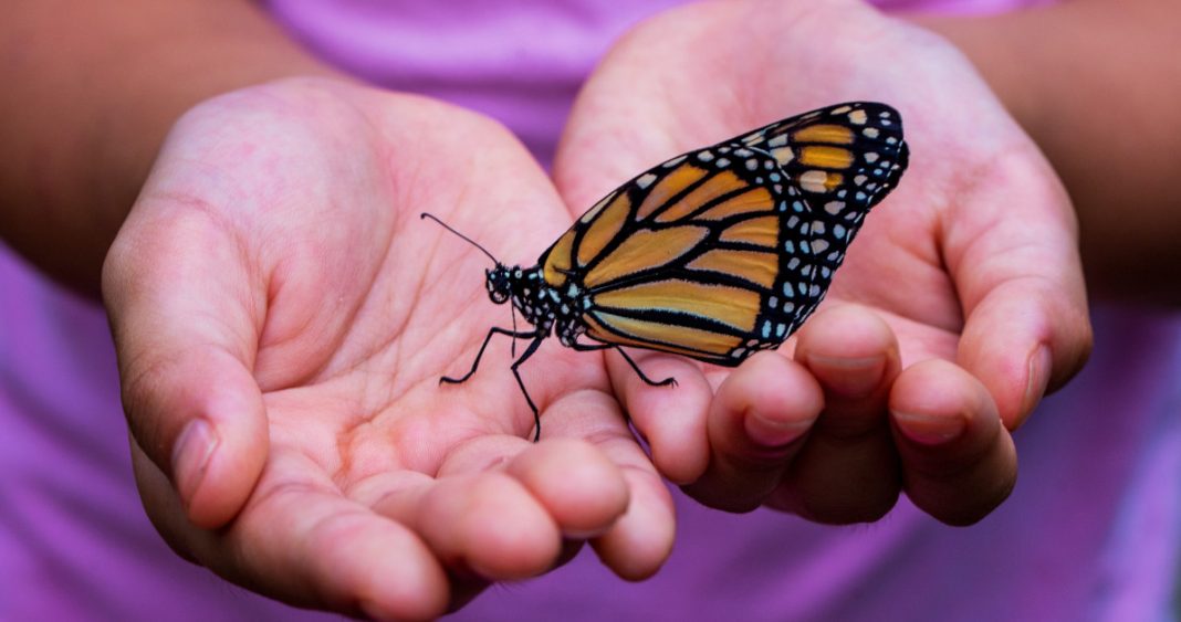 david-clode-527265-unsplash_1200x630