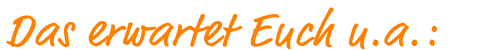 Das Erwartet Euch