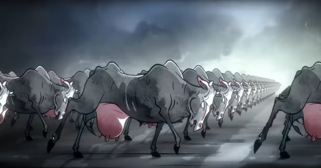 Katjes-Content-Marketing