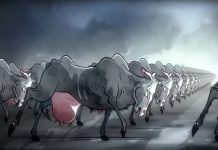 Katjes gegen die Milchindustrie: Wie provokatives Marketing Reichweite generiert